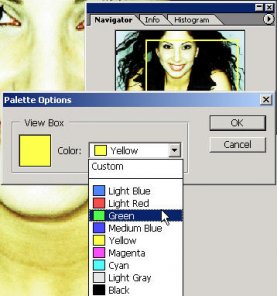 Discover the Navigator