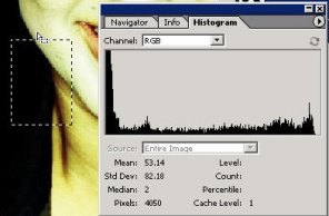Discover the Histogram