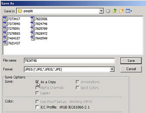 Discover the crop tool for image editing