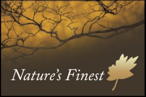 Discover the Layer Mask