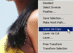 Discover the Pen Tool & Paths