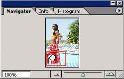 Discover Path Editing