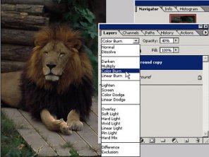 Discover Basic Filters