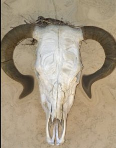 Discover Smudge & Liquify