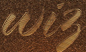 Text Engraved On Tree