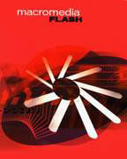Developing and Optimizing Your Website &acirc;?? Let Flash Help You