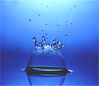 When You Create A Web Site, Don't Make A Splash!