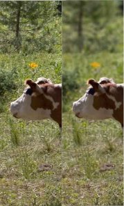 Lens Blur with Alpha Channels