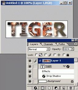 Filling in a Text With an Image