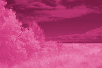 Infrared landscapes