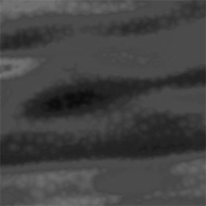 Displacements/Fractal maps