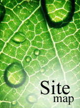 The Concept of Sitemaps Explained