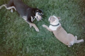 Blurring to Improve Compression