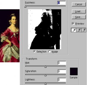 Selective Corrections: Replace Color (Video Included)