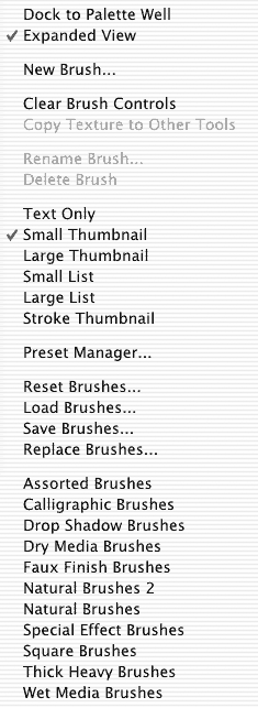 Introducing Photoshop 7's Brushes Palette