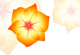 How to Create Illustrator CS2 Splash Page