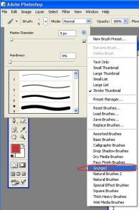 Using Downloaded Brushes Tutorial