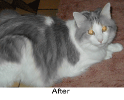 Changing Color: Hair, Eyes, Clothes