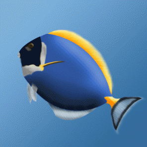 Drawing a Saltwater Aquarium Fish