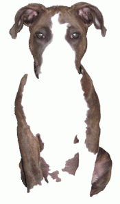 Change Colors of Objects in Images