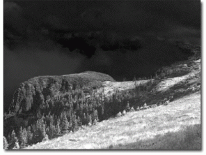 Creating an Infrared Effect in Photoshop