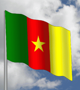 Making a waving flag