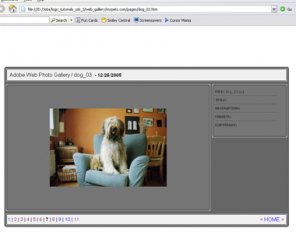 Creating Web Photo Gallery with Photoshop