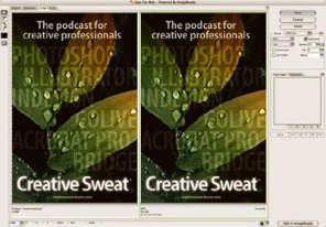 How do I Prepare Images for the Web?