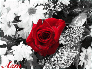 Black and White Backgrounds