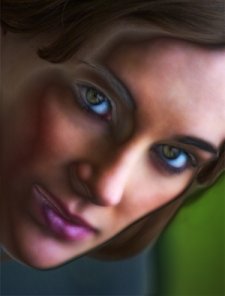 Vectorizing Potraits