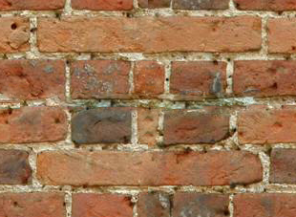 Seamless Texture in Adobe Photoshop