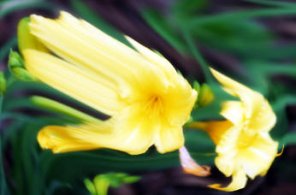 Liquify freeze and thaw masks