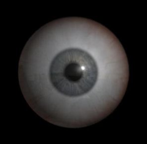 Creating A 3D Eye