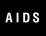 Text Flip Animation Effect