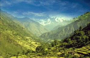 Using Adjustment Layers