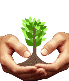 Conceptual Graphic for New Venture