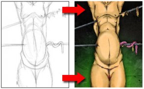 Working With the Wacom Tablet, Illustration, and Coloring in Adobe Photoshop