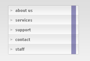 Professional Gray Menu