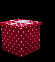 Cute and Cuddly Gift Animation
