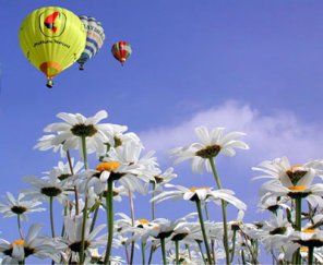 Up  ..Up ...and ...Away!