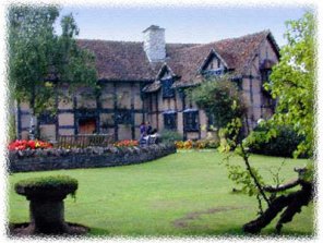 Adding a Border Effect