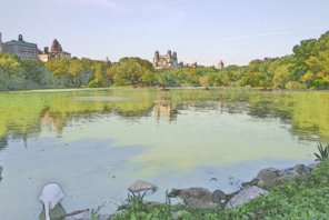 English Tea can Painting