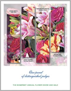 Image Panels Floating Over a Ghosted Image