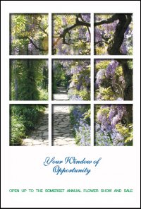 Creating a Window Through Your Brochure Cover