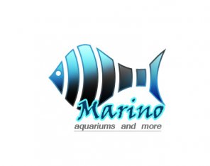Aquarium Shop Logo