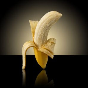 The elegant studio shot