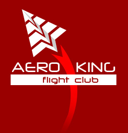 Logo with a Paper Plane