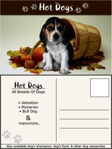 Promotional Post Card