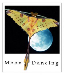 How to write good tutorials exclusive article