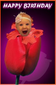 Baby blossom designing a birthday card